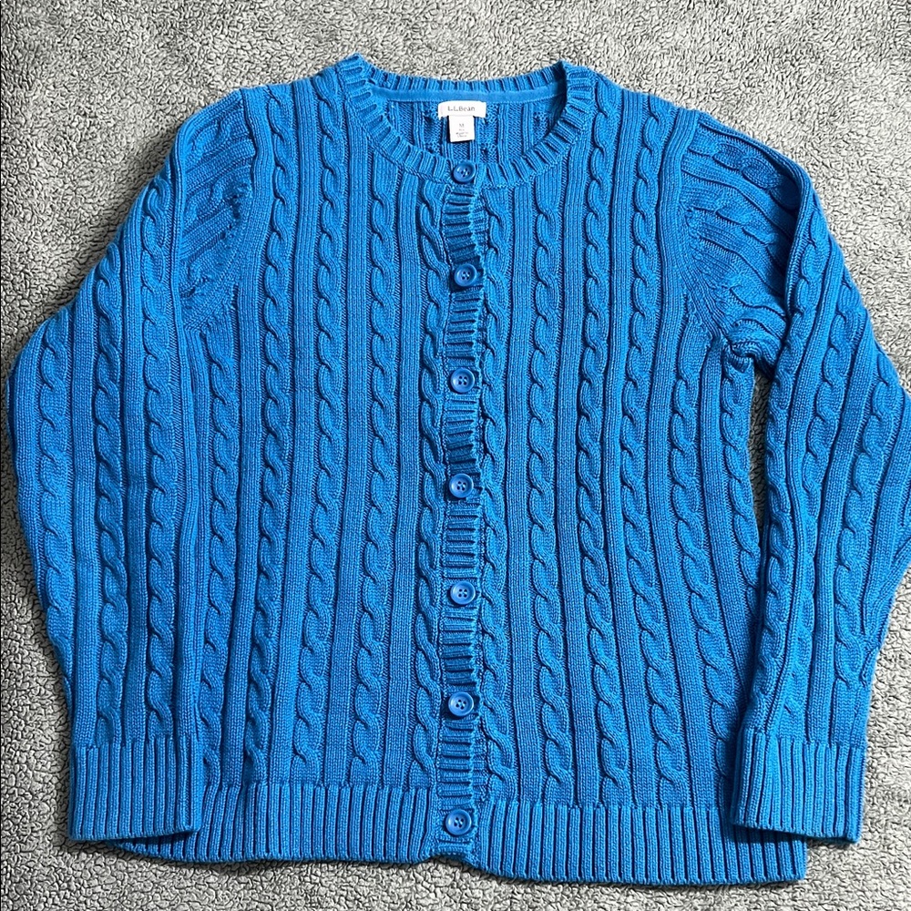 L.L. Bean Vibrant Blue Knit Sweater